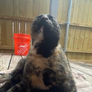 Meet your Posher, Pe